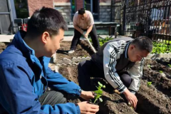 “同心菜园”播种绿色希望 项目部员工共建温馨家园